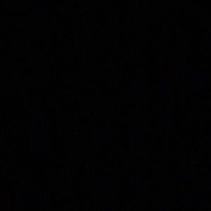 Meet your Posher, Lauryn